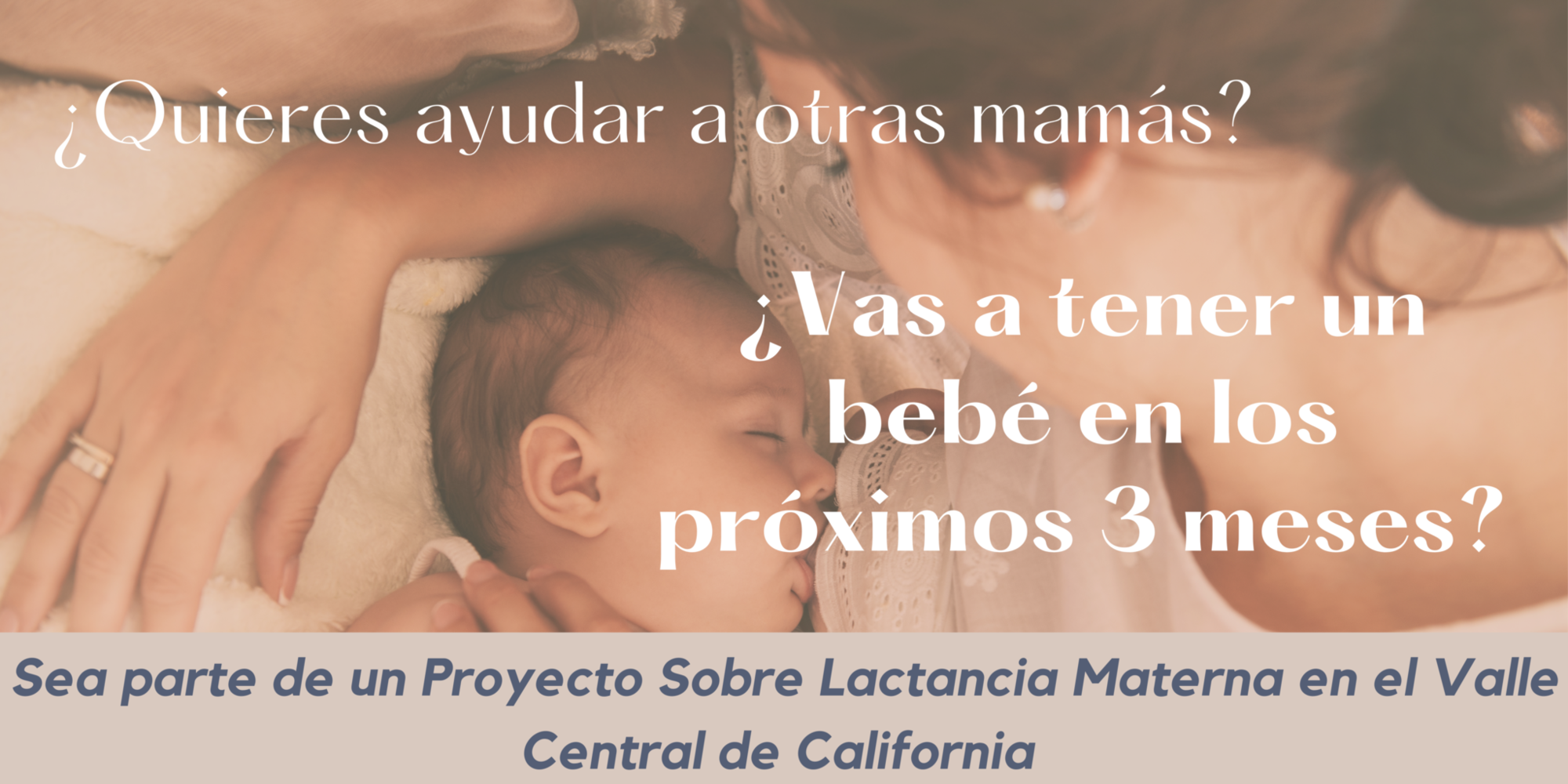 spanish_website_banner_1.png