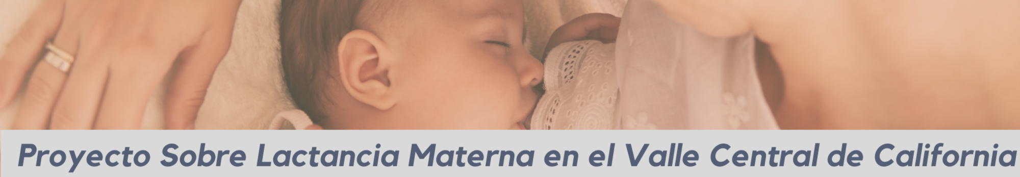 subheading_in_spanish_01.png
