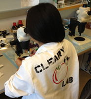 Cleary Lab