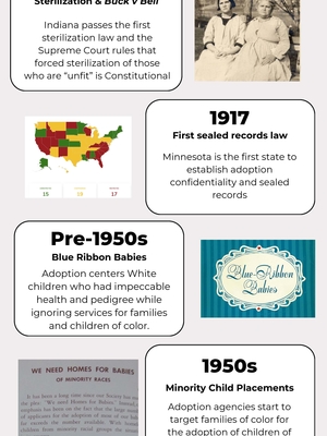 Adoption Timeline Page 2