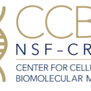 CCBM Logo