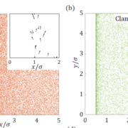 steady state probability distribution of cell near elastic interface