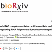 Preprint