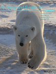ece3.2016.6.issue-23.cover_.gif