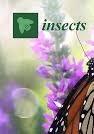 insects_sept_2019v3.jpeg