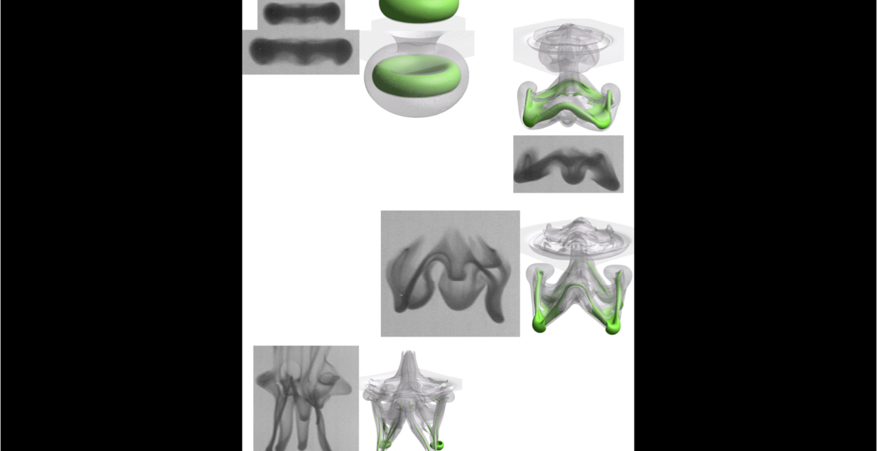 slide 11