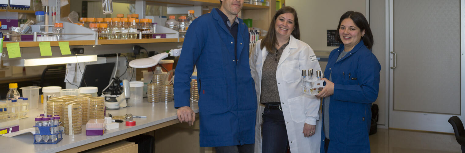 Valley Fever Researchers